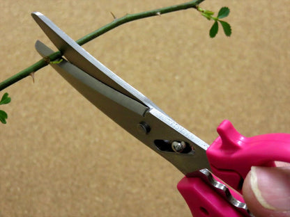 Japanese KANEX Pruning Shears Flower Gardening Floral Scissors Pink SEKI JAPAN